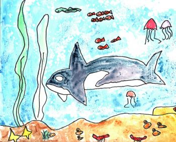 Elena Cudahy, Age 7 Orca from A Killer Whale’s World