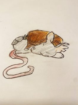 Danae Love, Age 9, Mouse