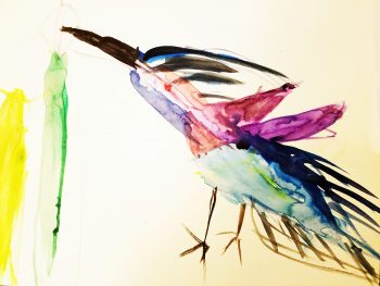 Gabriel Dieme, Age 7, Ruby throated Humming Bird from the Atlas of Amazing Birds (Cover)