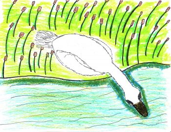 Laura Barkdull, Age 8 The Ugly Duckling (September)