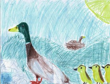 Jonah Veerkamp, Age 9 Mr. Mallard and His Ducklings from Make Way for Ducklings (May)