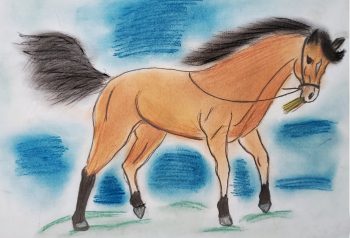 Josephine Engleman, Age 10 Horse Diaries (Cover)