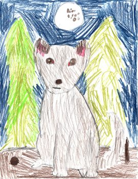 Aubree Younger, Age 8, Baby Wolf