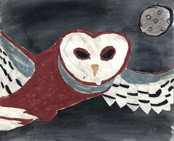 Laura Barkdull, Age 9, Barn Owl