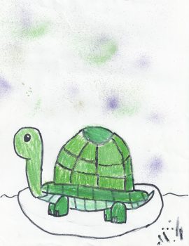 Rowan Dunn, Age 6, Turtle from My Very First Book of Animal Homes