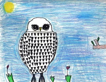Vasili Tokarev, Age 6, Owl from Owl Babies (May)
