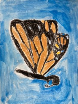 Parker Budesa, Age 8, Monarch Butterfly from Senorita Mariposa