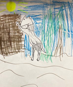 Parker Budesa, Age 8, Tuffy