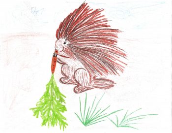 Vasilisa McCutchan, Age 11, Porcupine from The Silver Arrow