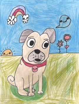 Addie James, Age 9, Diary of a Pug (May)